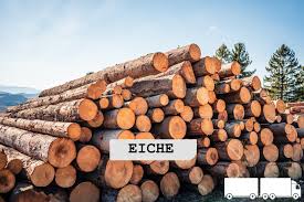 Stammholz Eiche